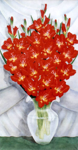 Gladiole