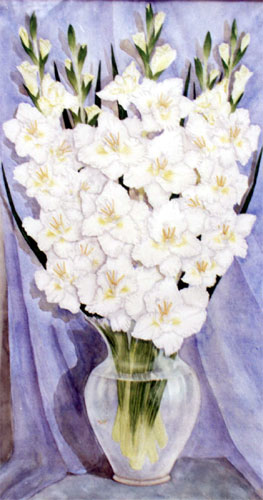Gladiole