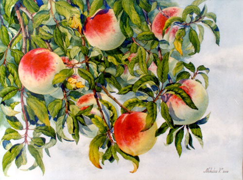 Aroma piersicilor
