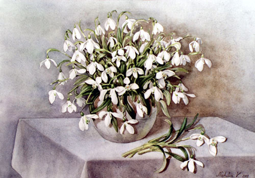 Ghiocei