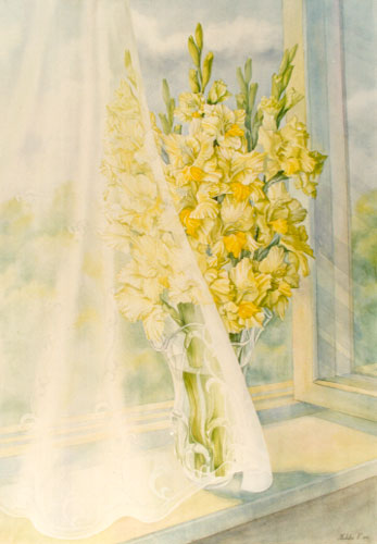 Gladiole